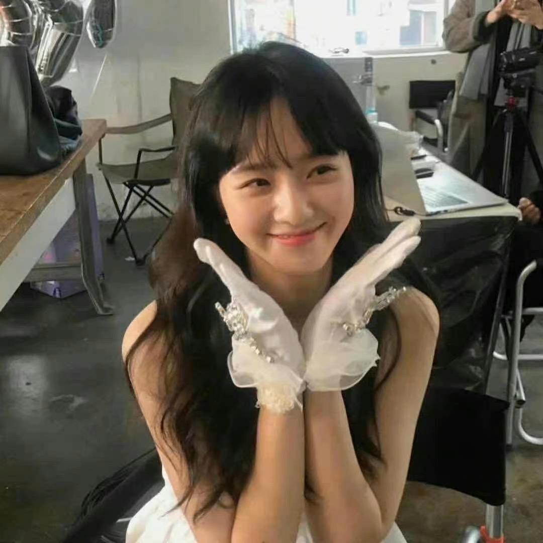 马尔济斯小狗可爱到犯规