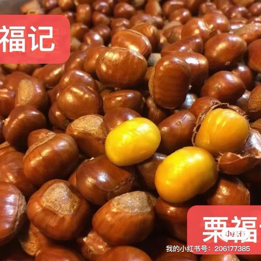 广广商行栗福记