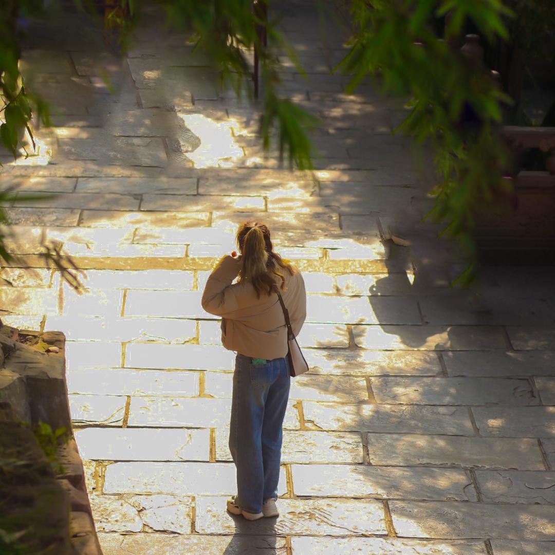 阿里 嘎多美羊羊