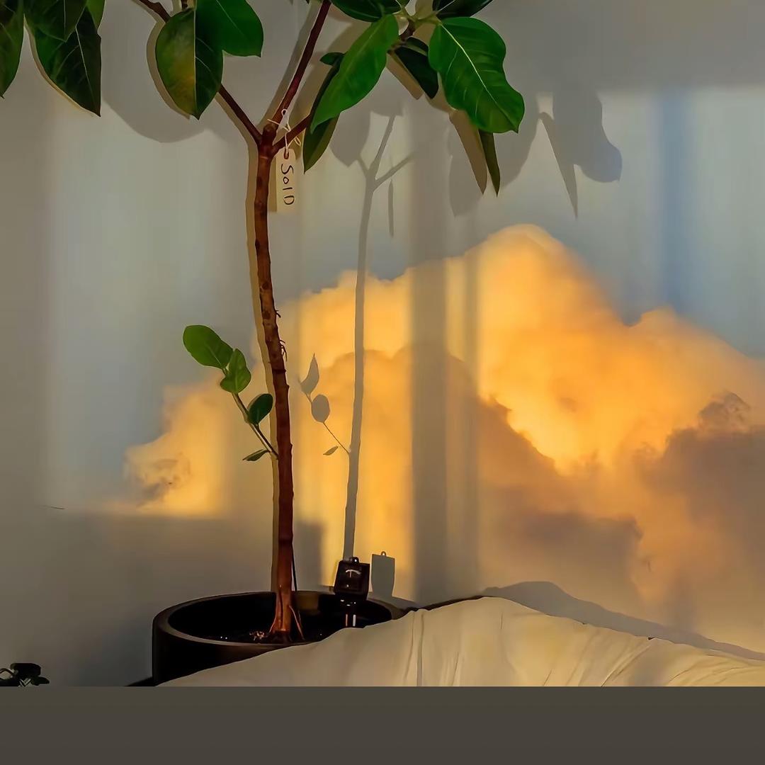 泽邱（原神代肝）