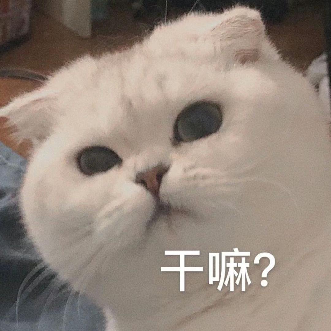 call me 菜菜
