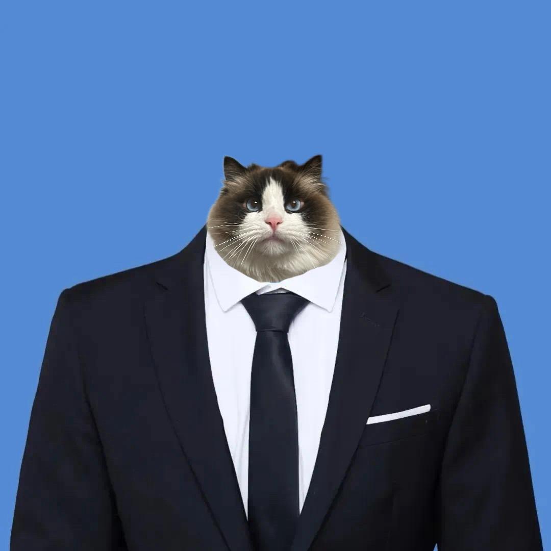 曲靖成铭酸奶王子