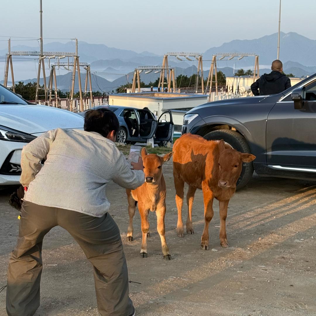 梅川裤紫.（2.0）