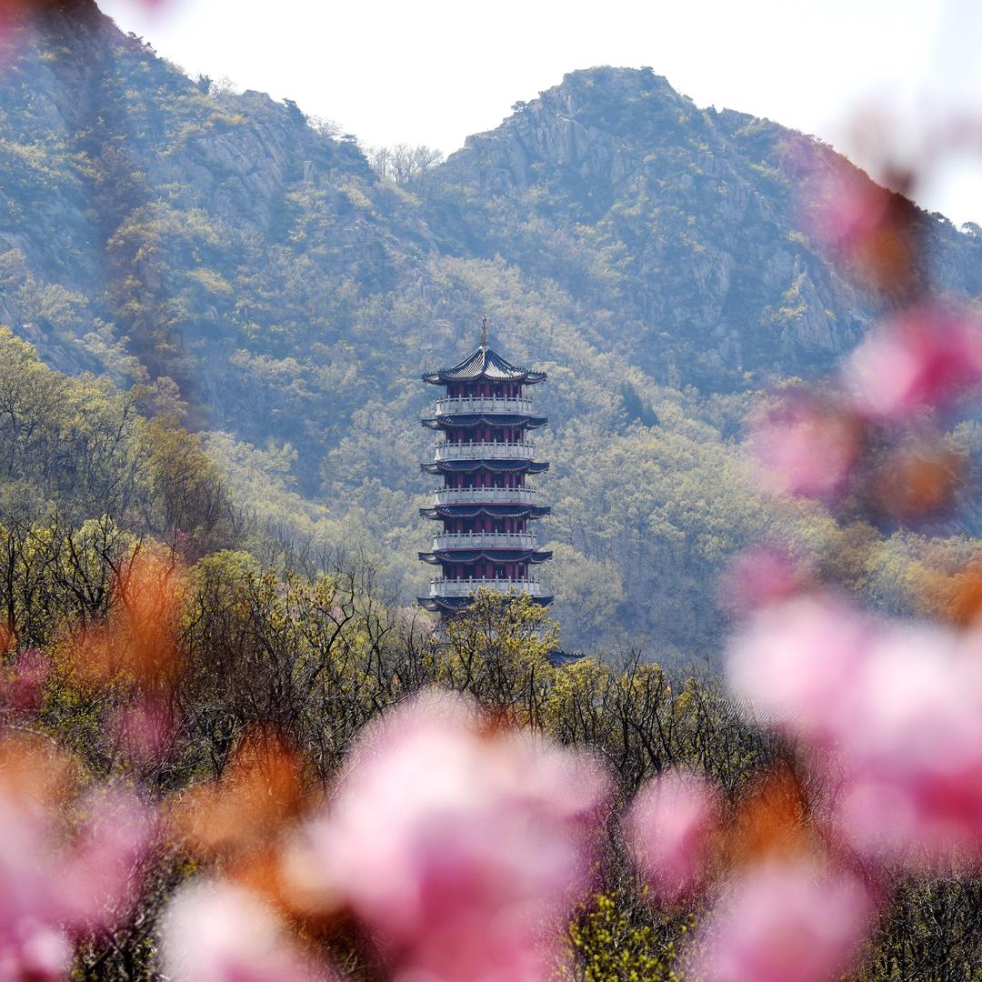 大基山饲养员日记