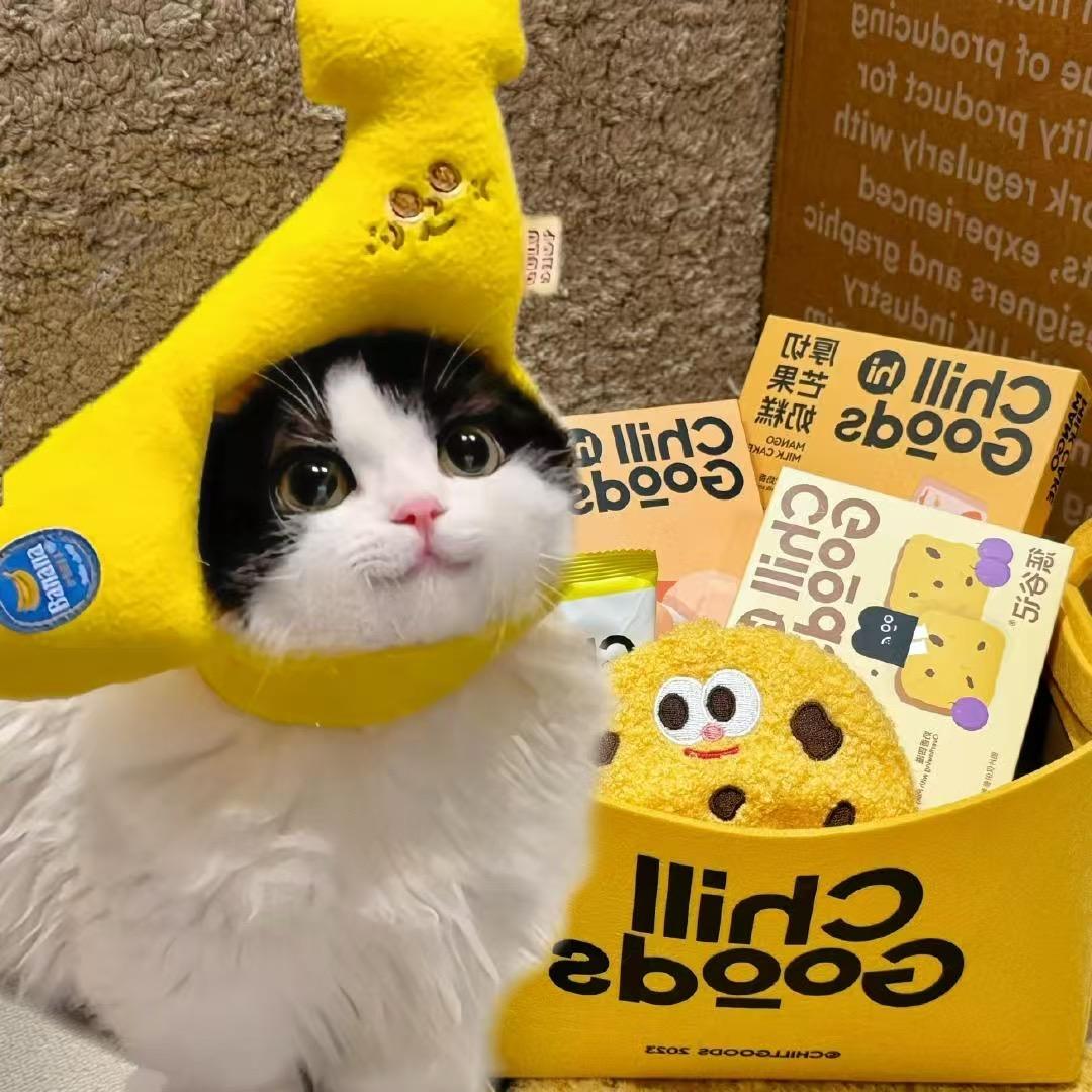宠小麦