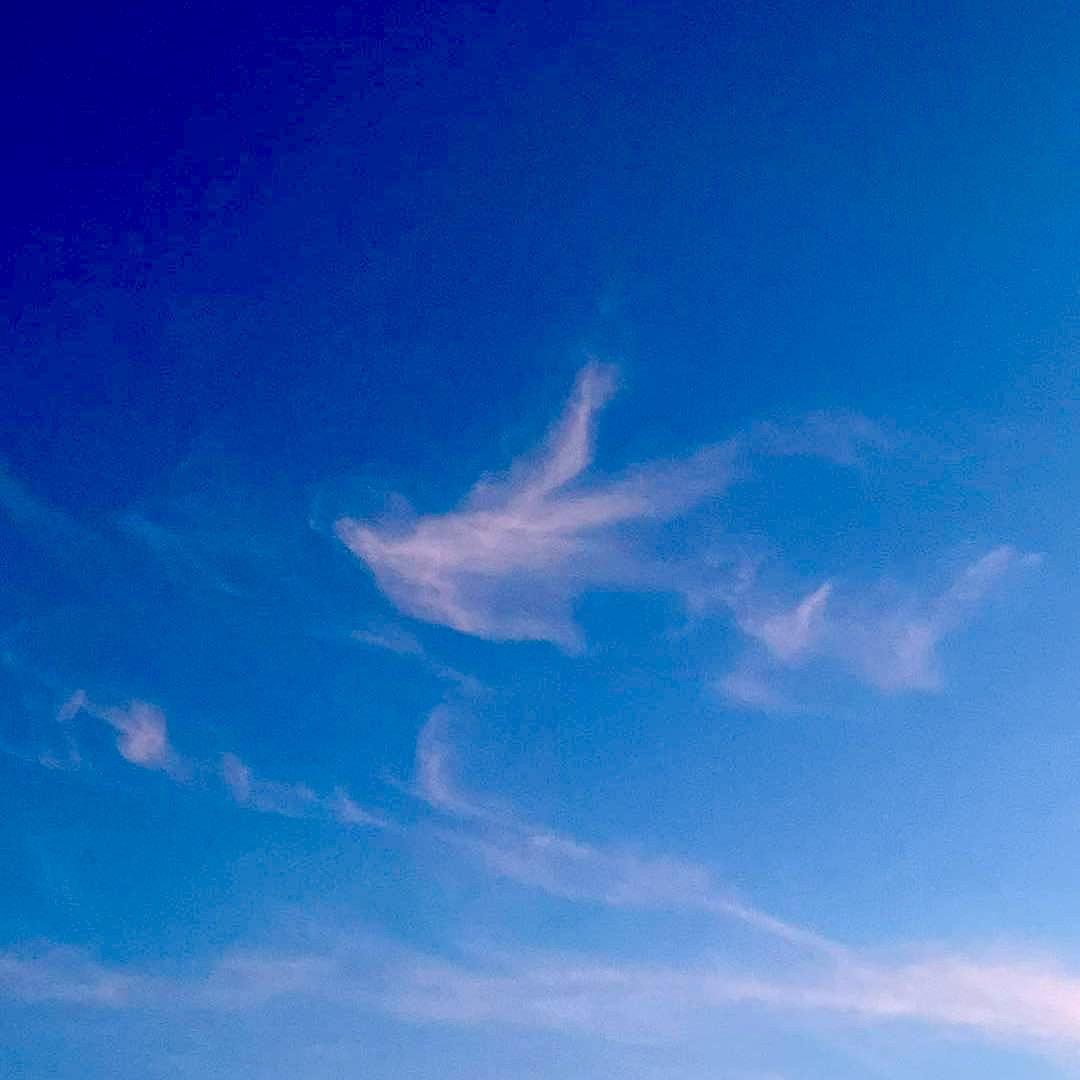 东方拂晓123