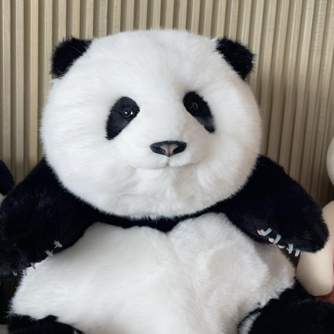 玛莎拉·佩奇