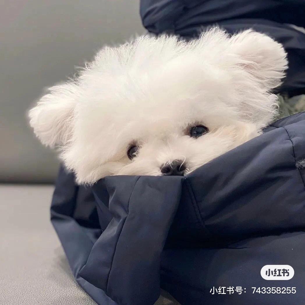 长大做个有钱人