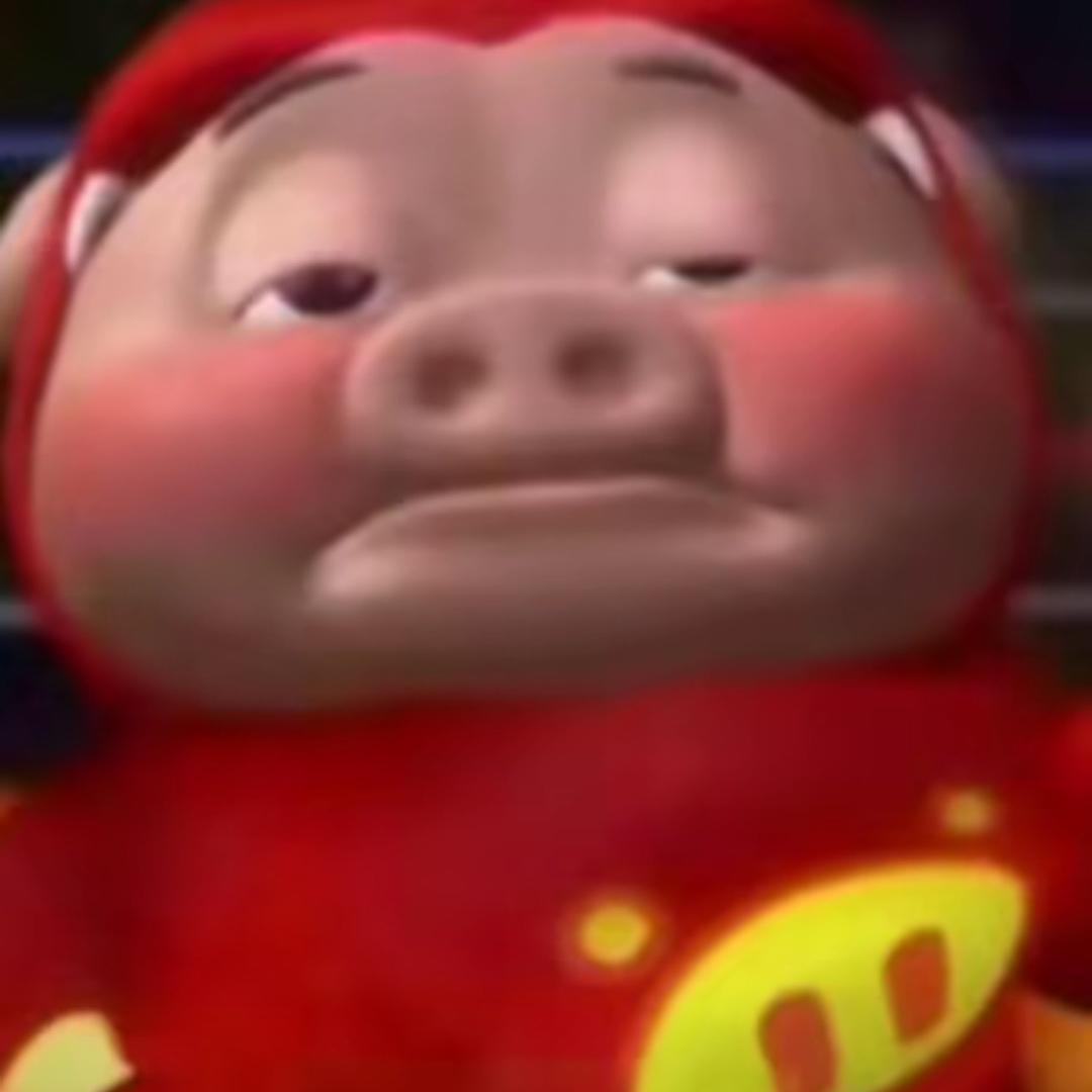 东旺宠物采购