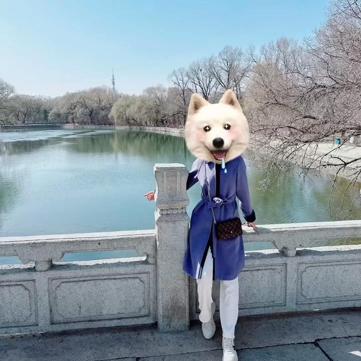 小孙没烦恼🌸