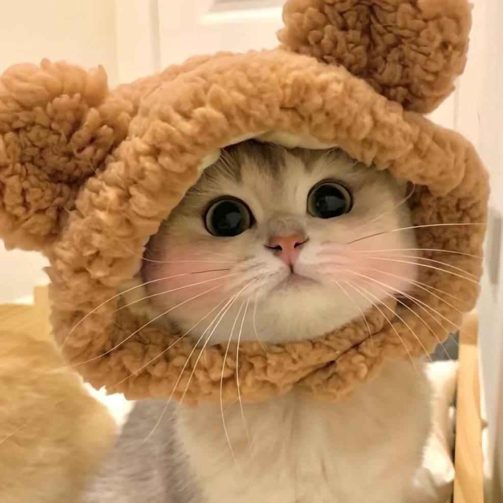 聪明的咸鱼