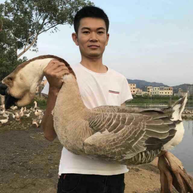 陈信百货商行
