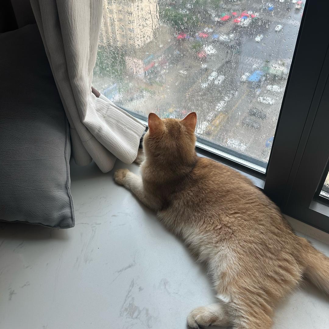 声声慢不慢🌬️