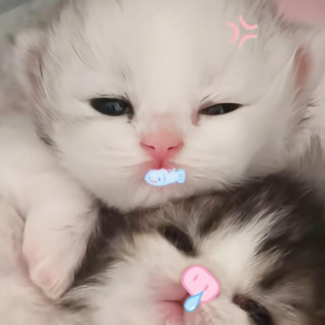 慧慧慧