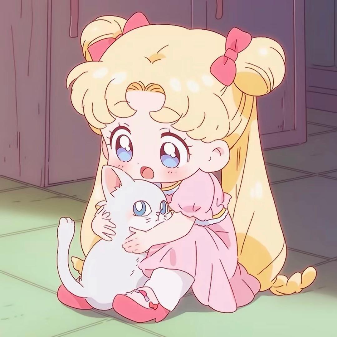 ⭐小白白