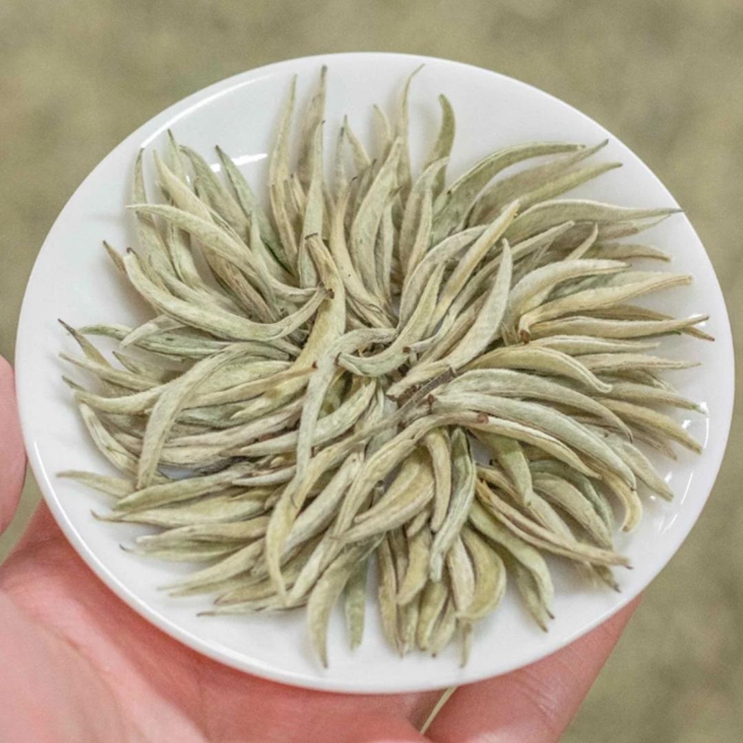 方寸茶坊