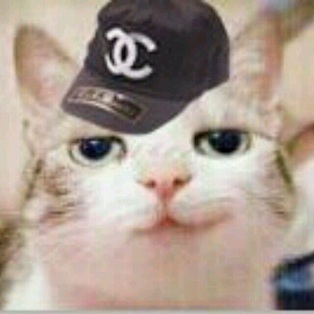 丶猫痴🔥🔥🔥