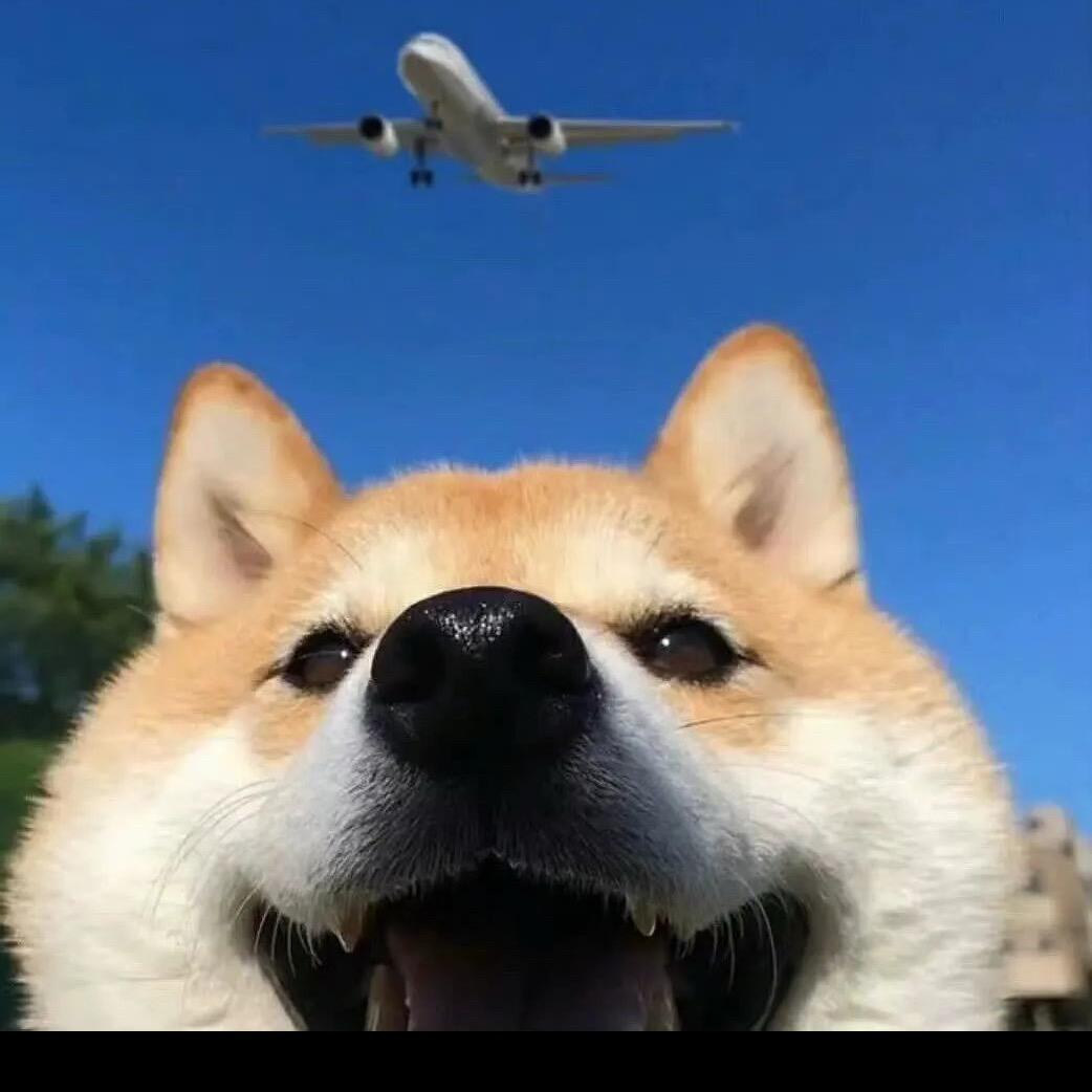 〈无感〉