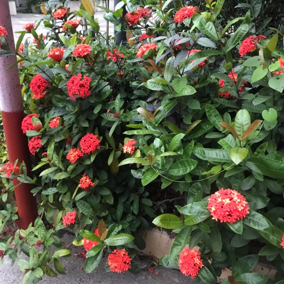 用户3154816707745十八子