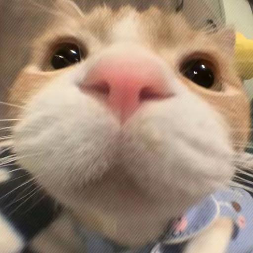 ᐡ•͈ ·̭ •͈ᐡ
