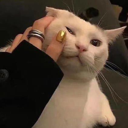 小胡没烦恼