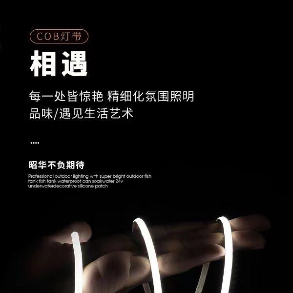 安格斯照明