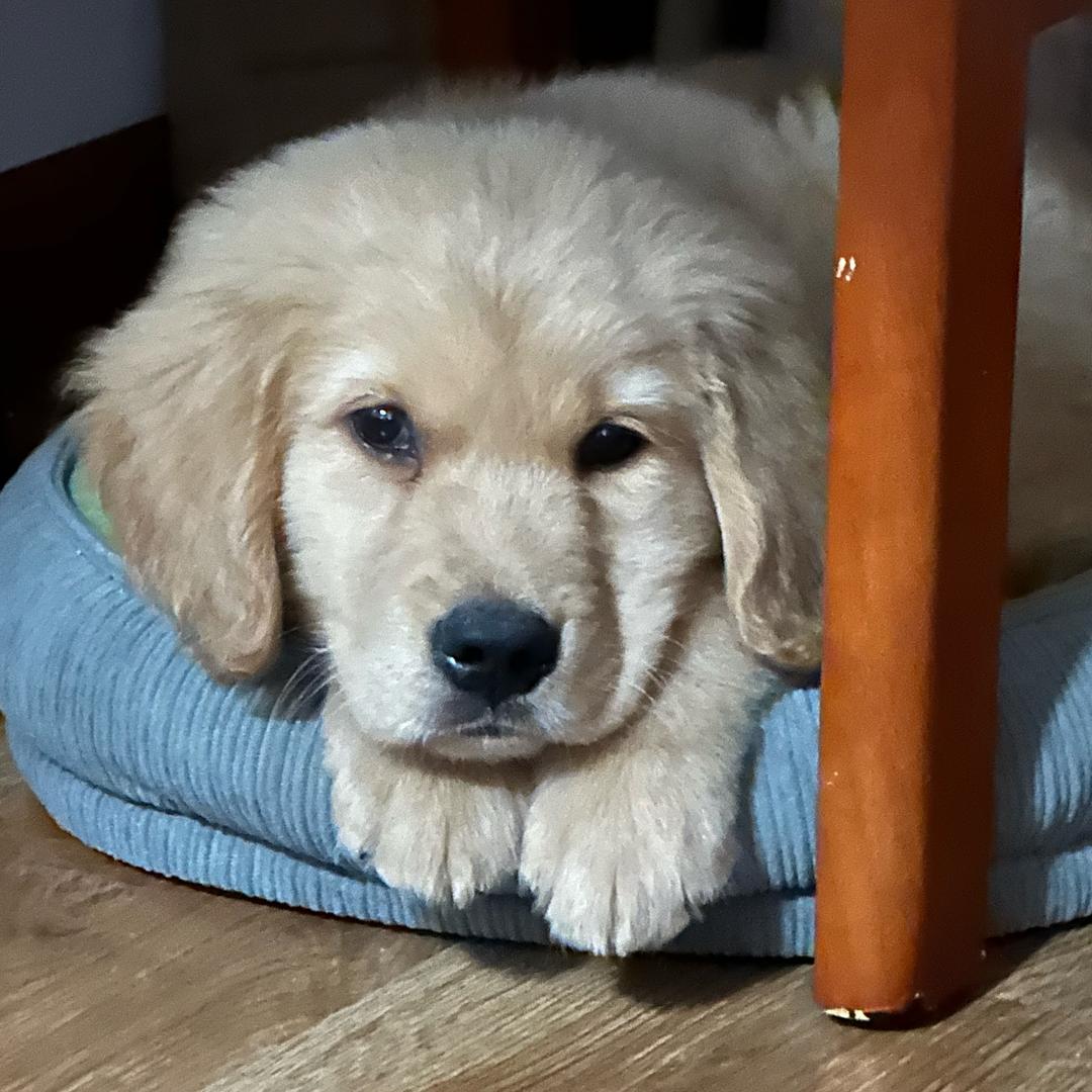 键小二仪器仪表