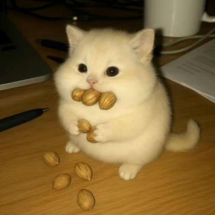 帅的没人爱