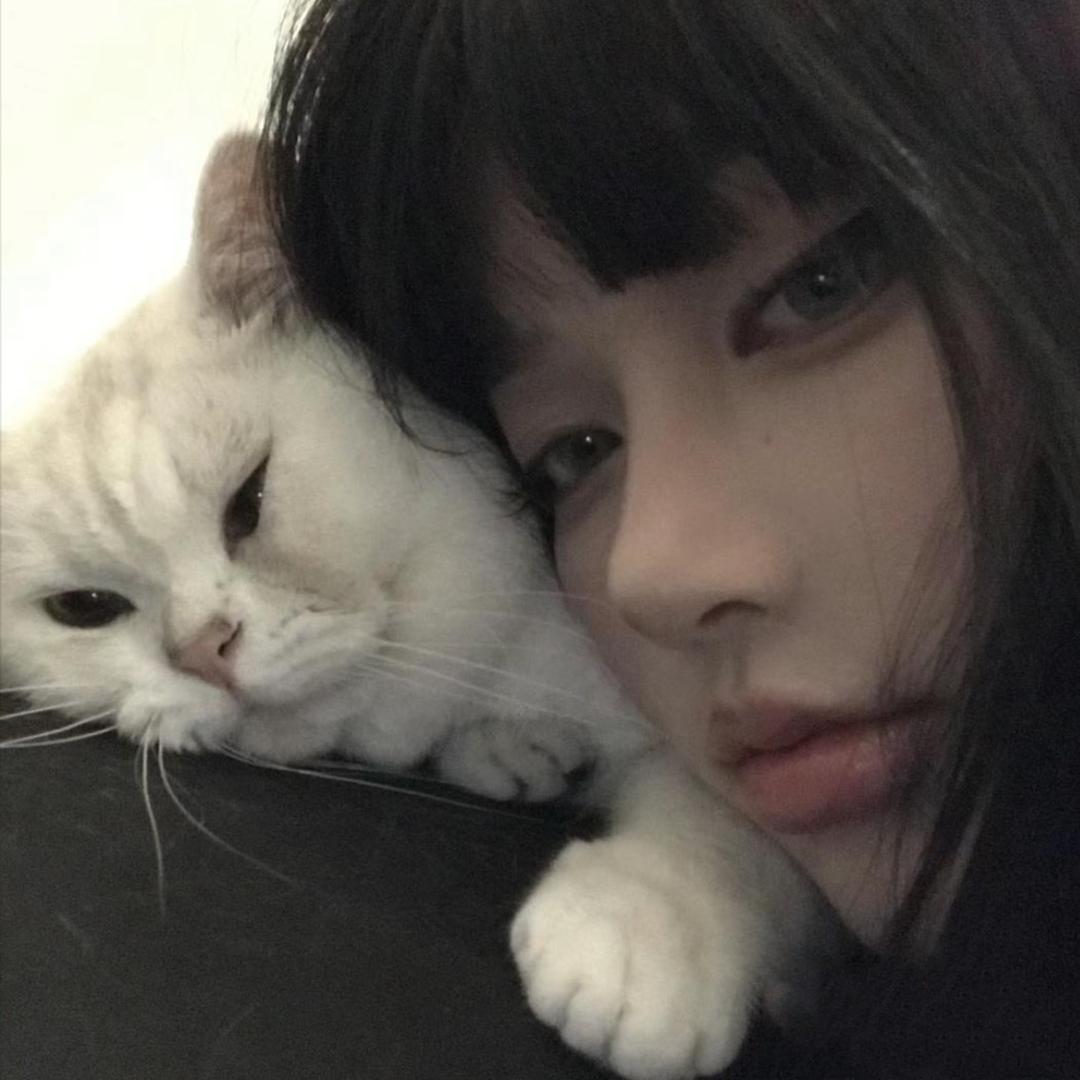 中午吃什么