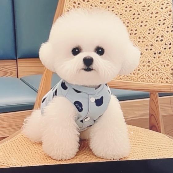 眼睛姐（萌宠）