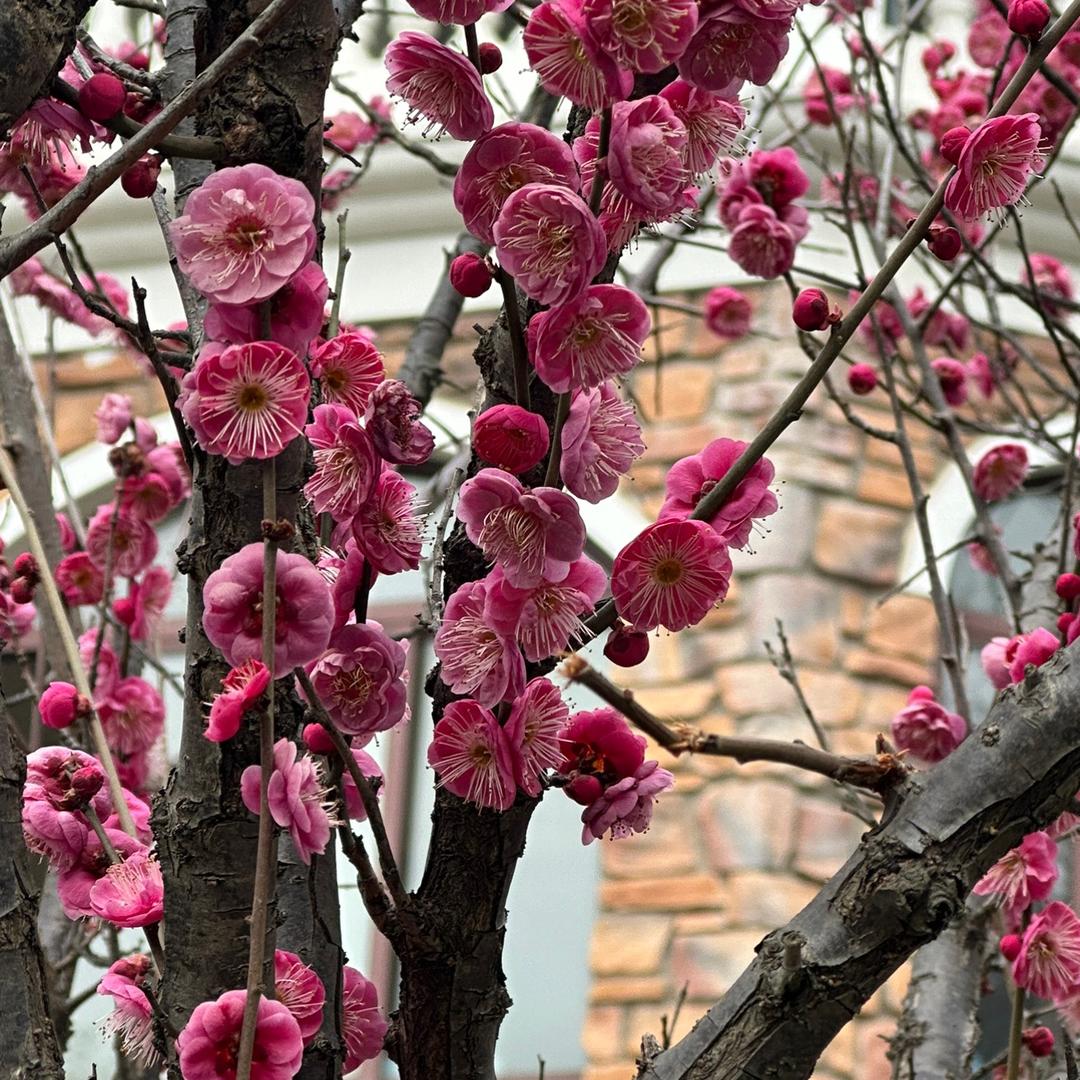 快乐幸福的小姐姐