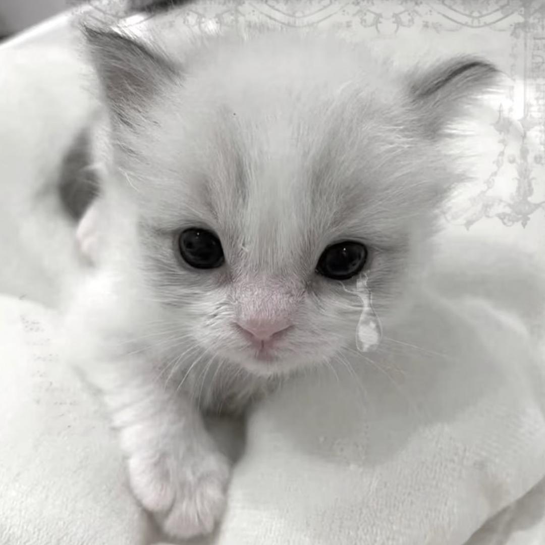 此刻，已是过去的未来