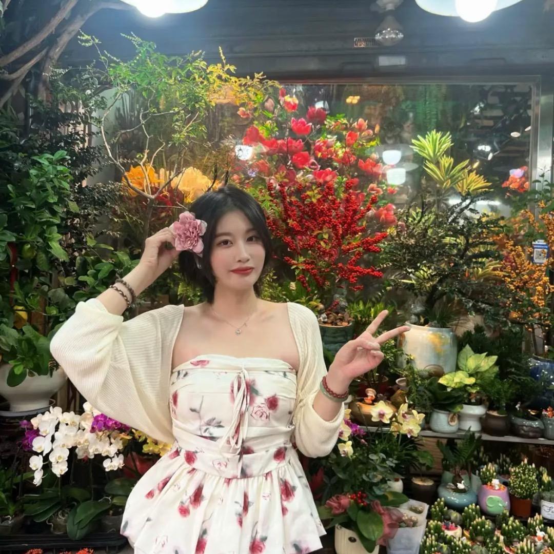 宽宽宝藏