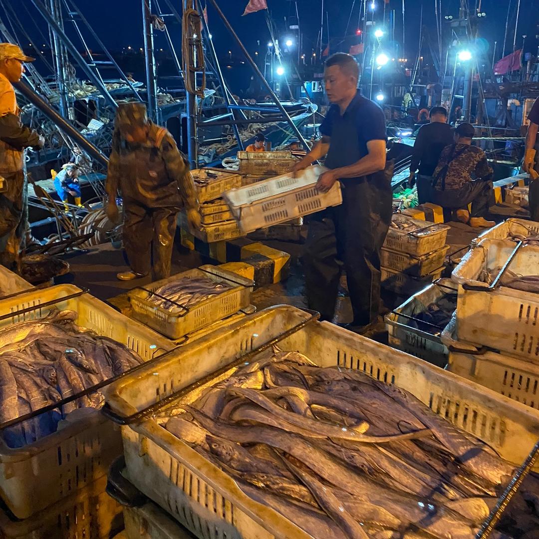 물野生🐟地道山东味🐙🦑🦐🦞🦀
