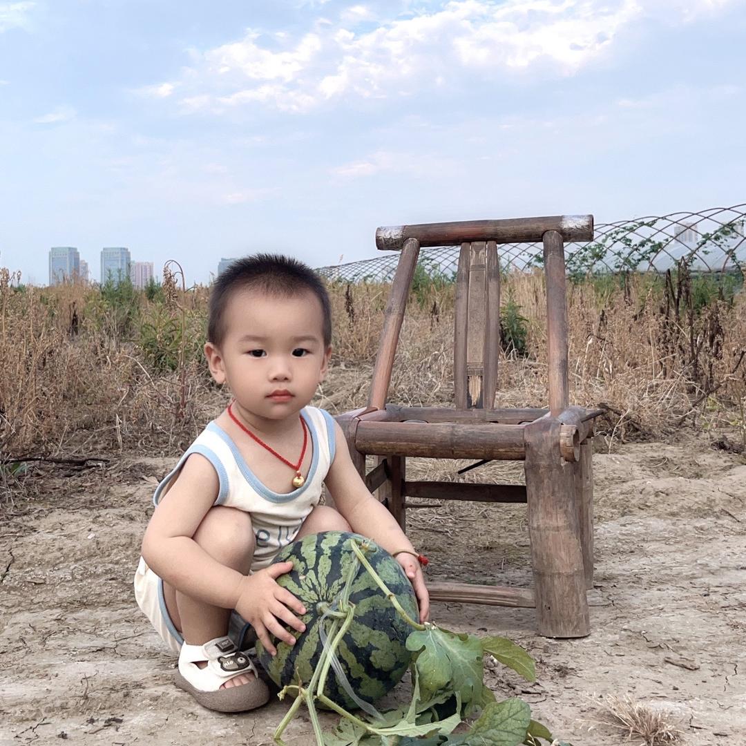 陶陶麻麻