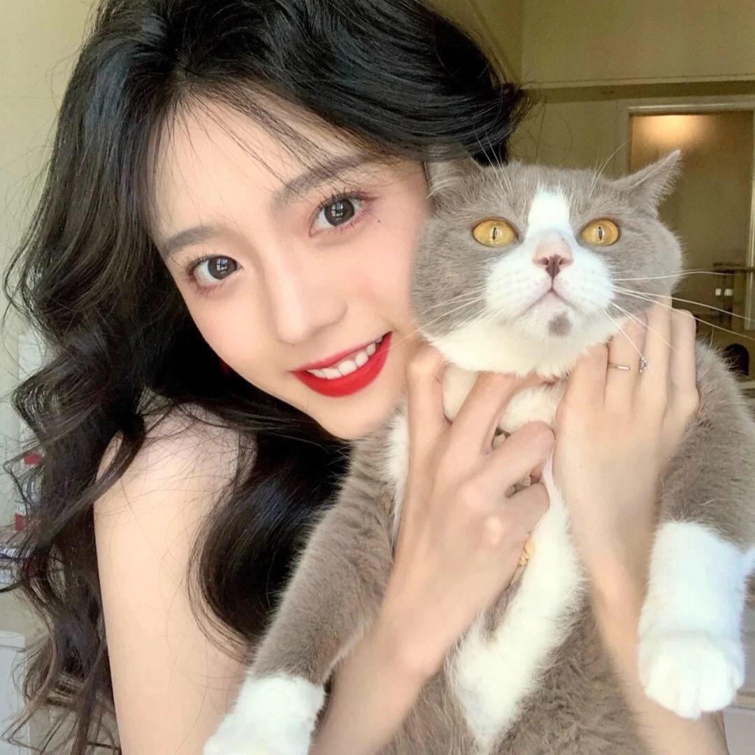 鹿鹿的宝藏屋