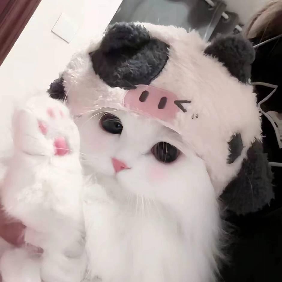 三亚c位酒吧 安安