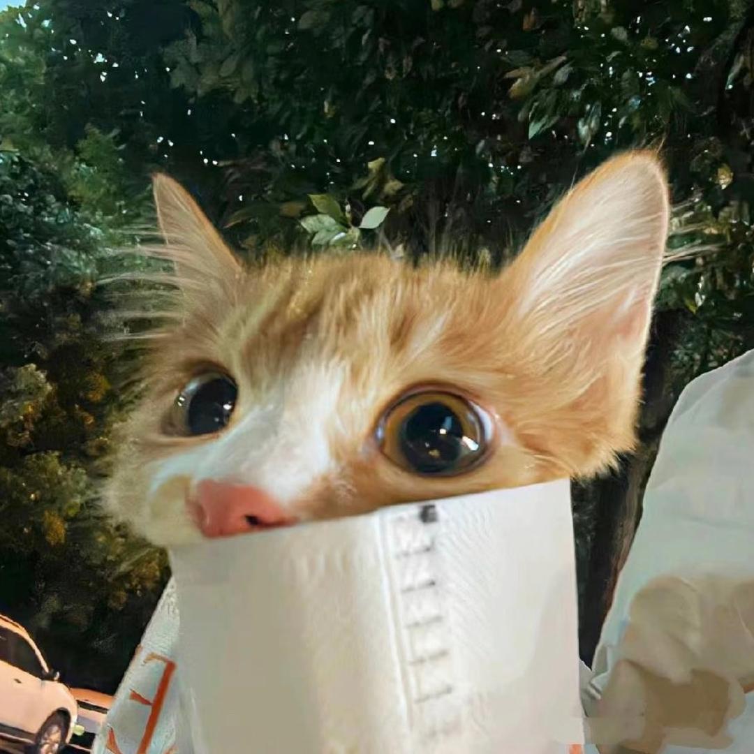 帅死自己不是罪