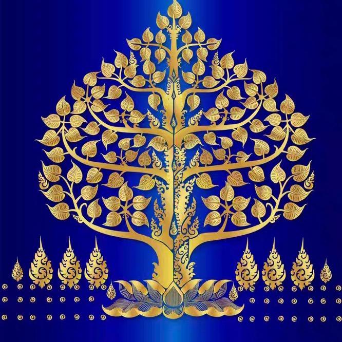 金金66