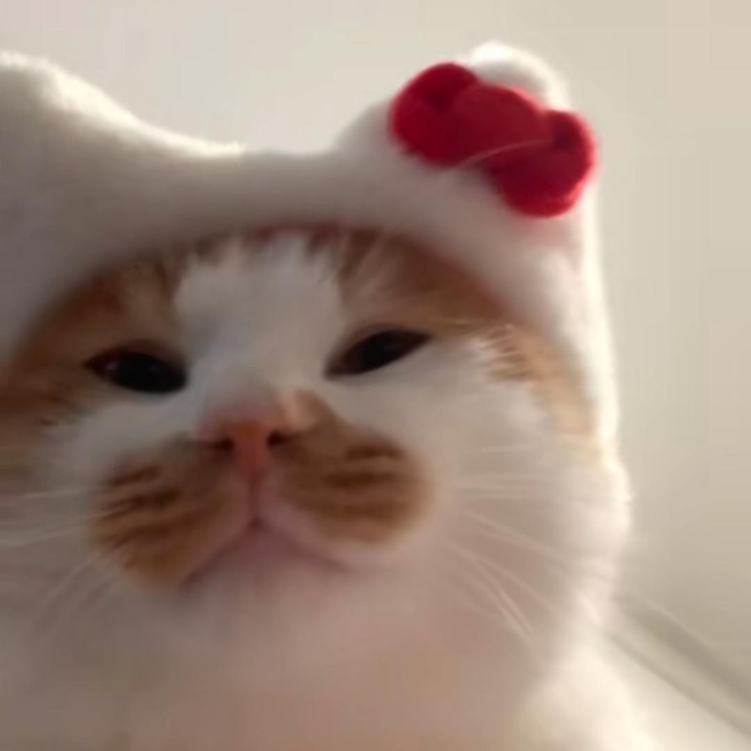 达郭炖