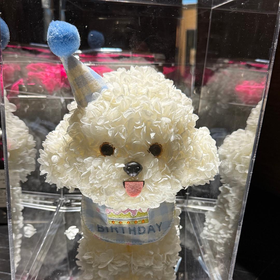 小周同志