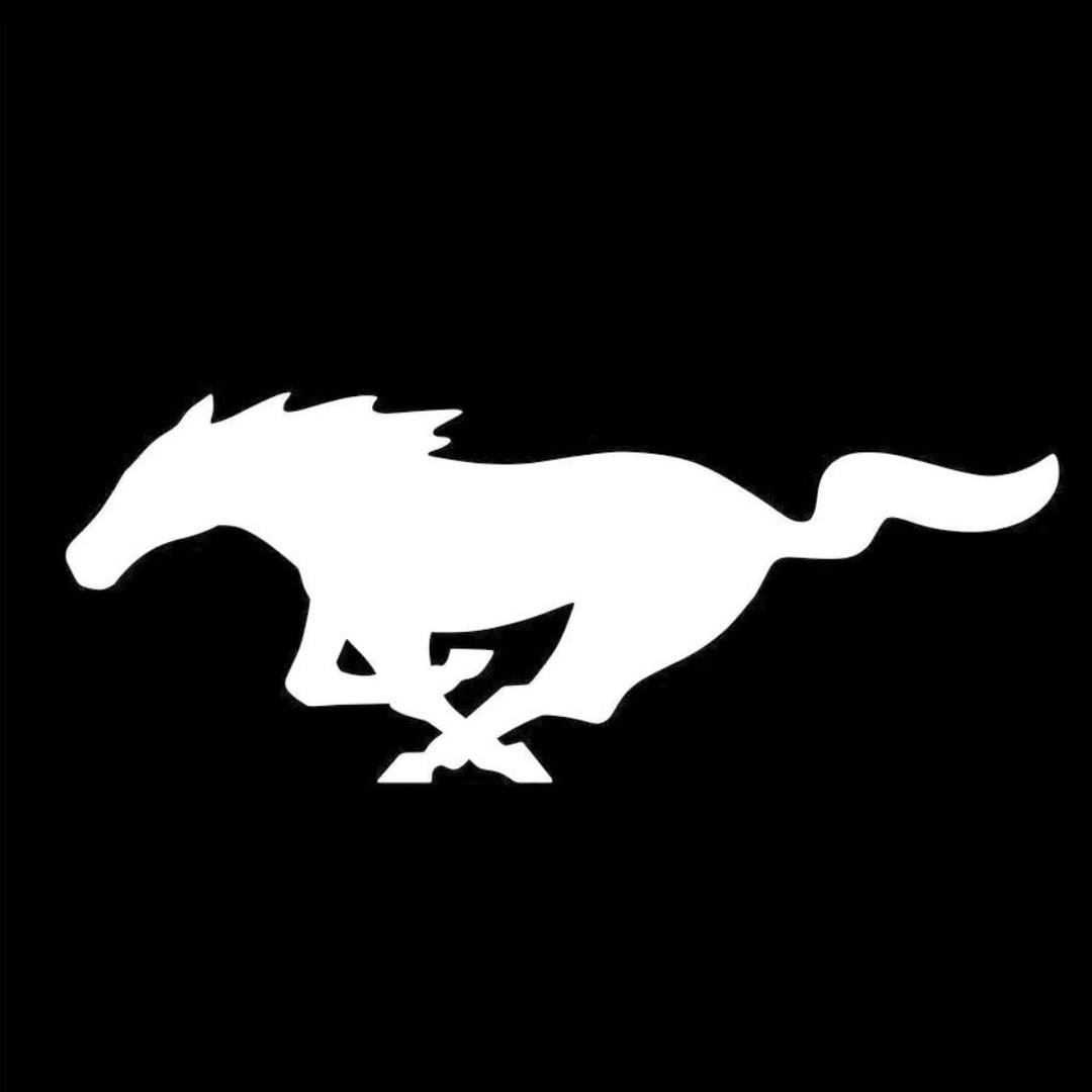 尔康的野马车库