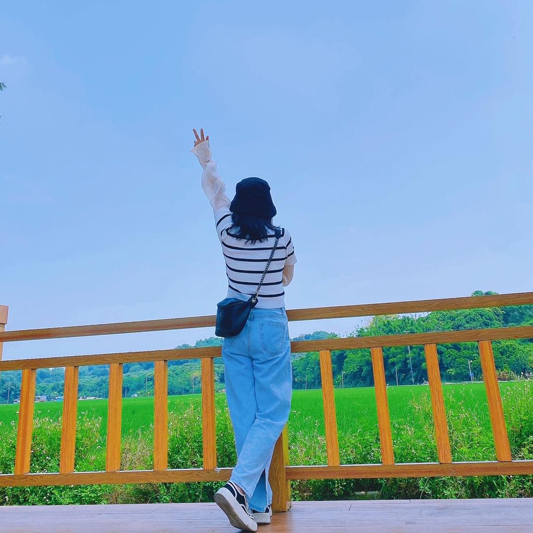 音乐🎶