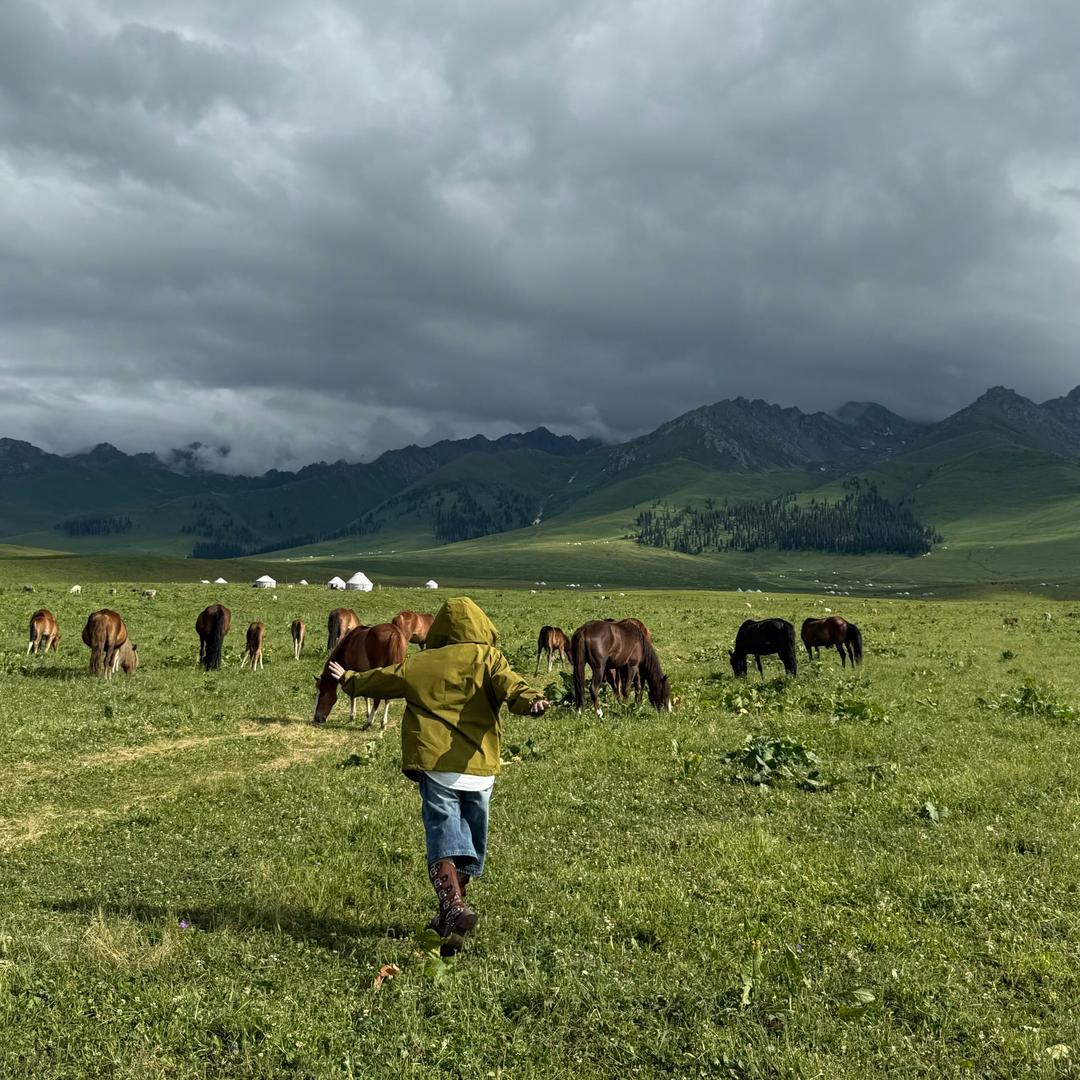 新疆纯玩小团 （新疆专场)