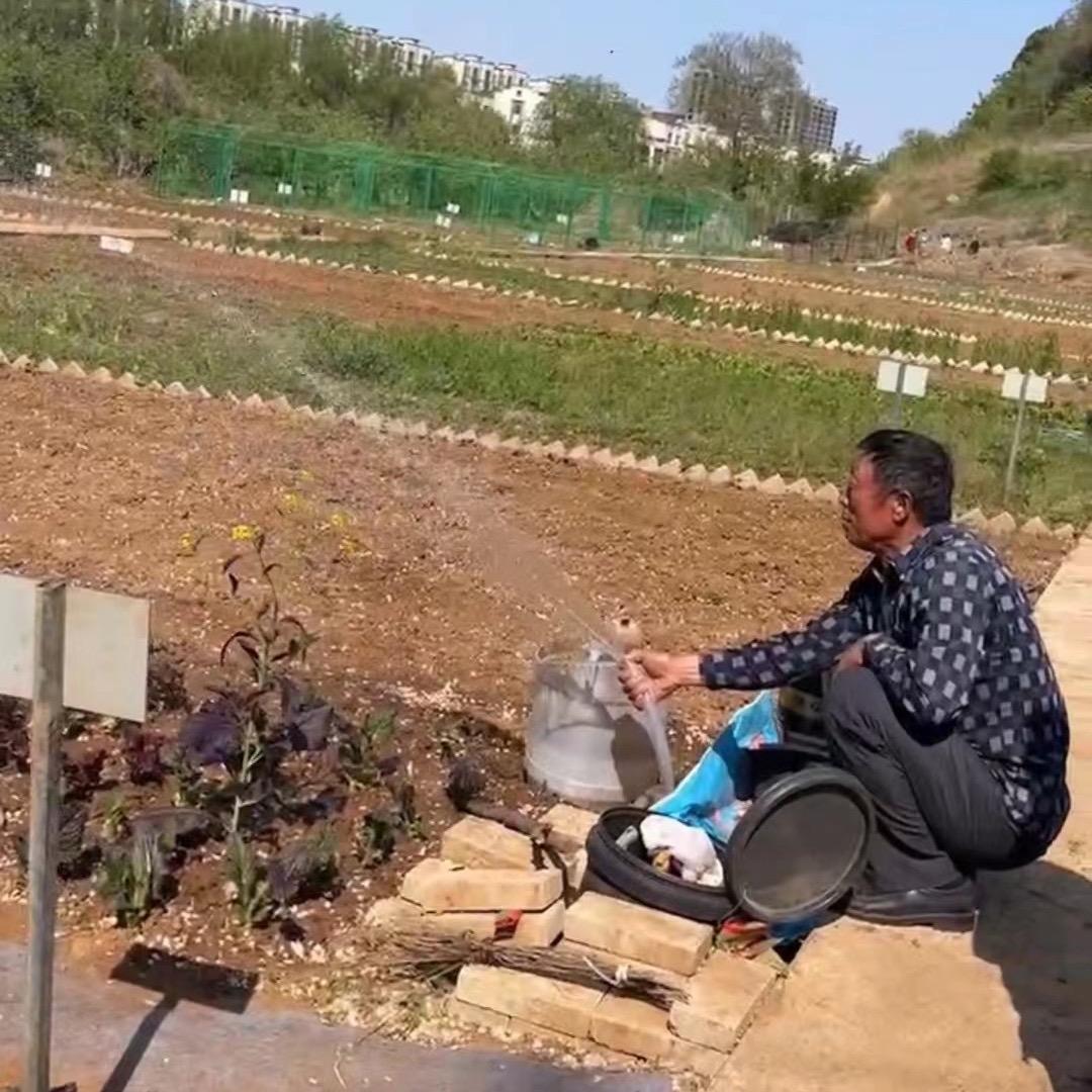 韩国老头在烟台种地