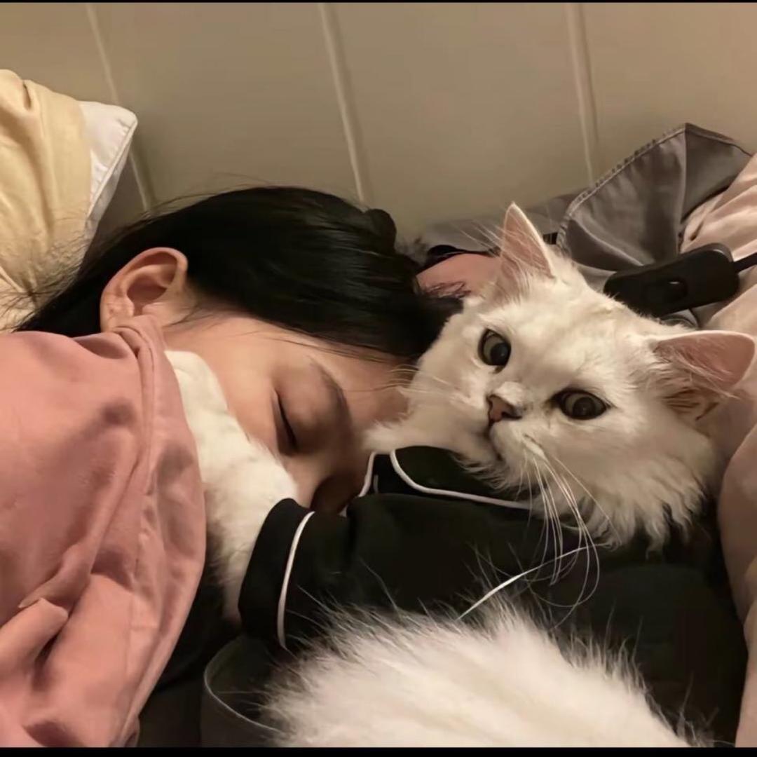小困包🕶️
