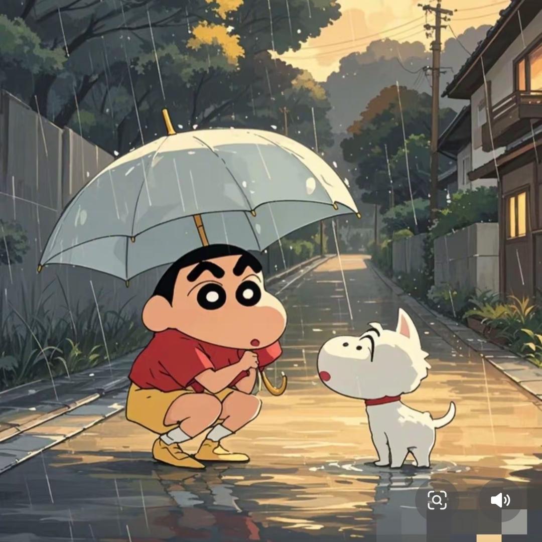 66是只母比熊