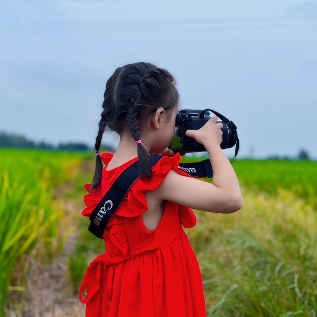 繁华落尽，愿与君老