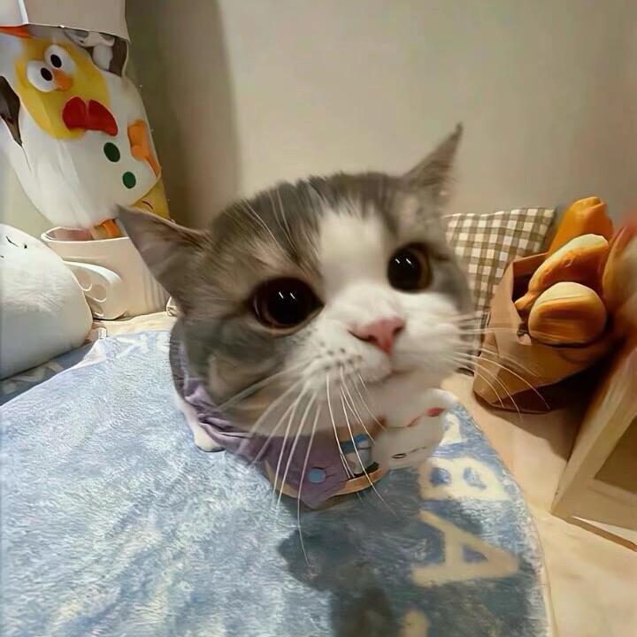 夏日