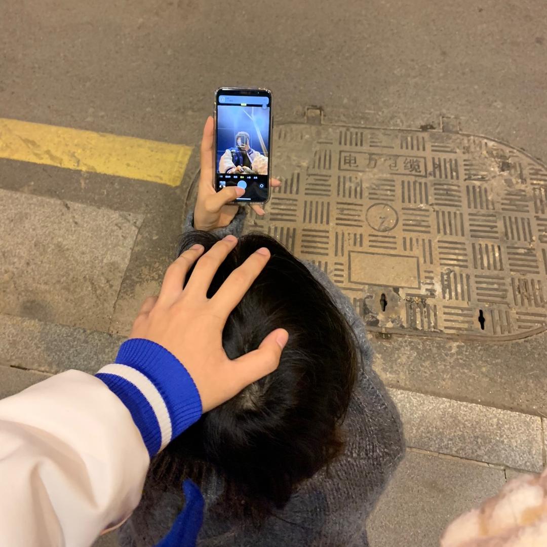 蓝桉树
